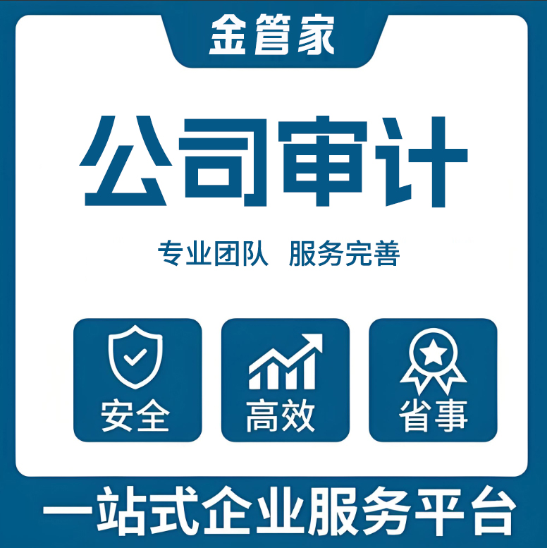 公司审计